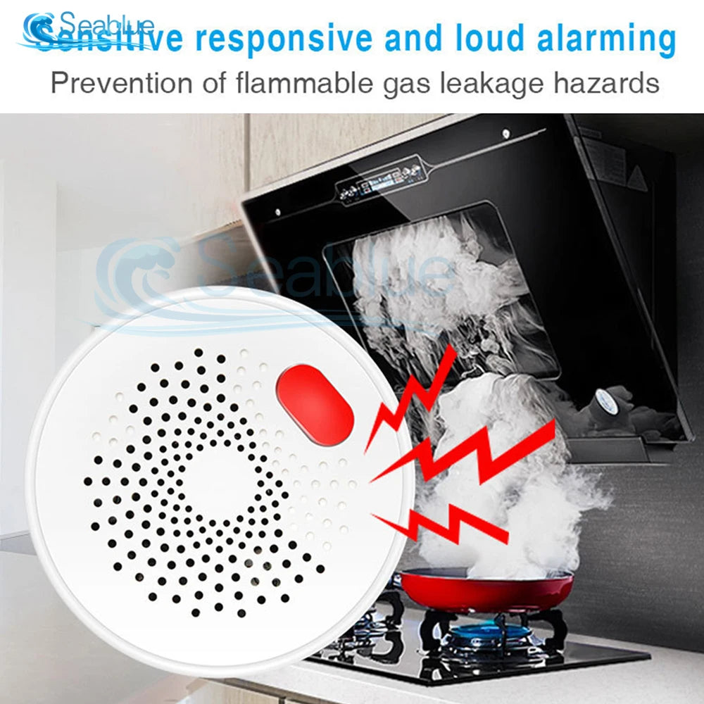 Gas Leakage Detector